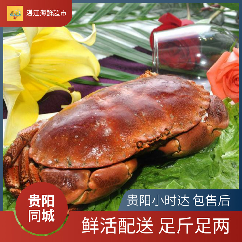 【鲜活蟹】面包蟹蟹同城配送螃蟹