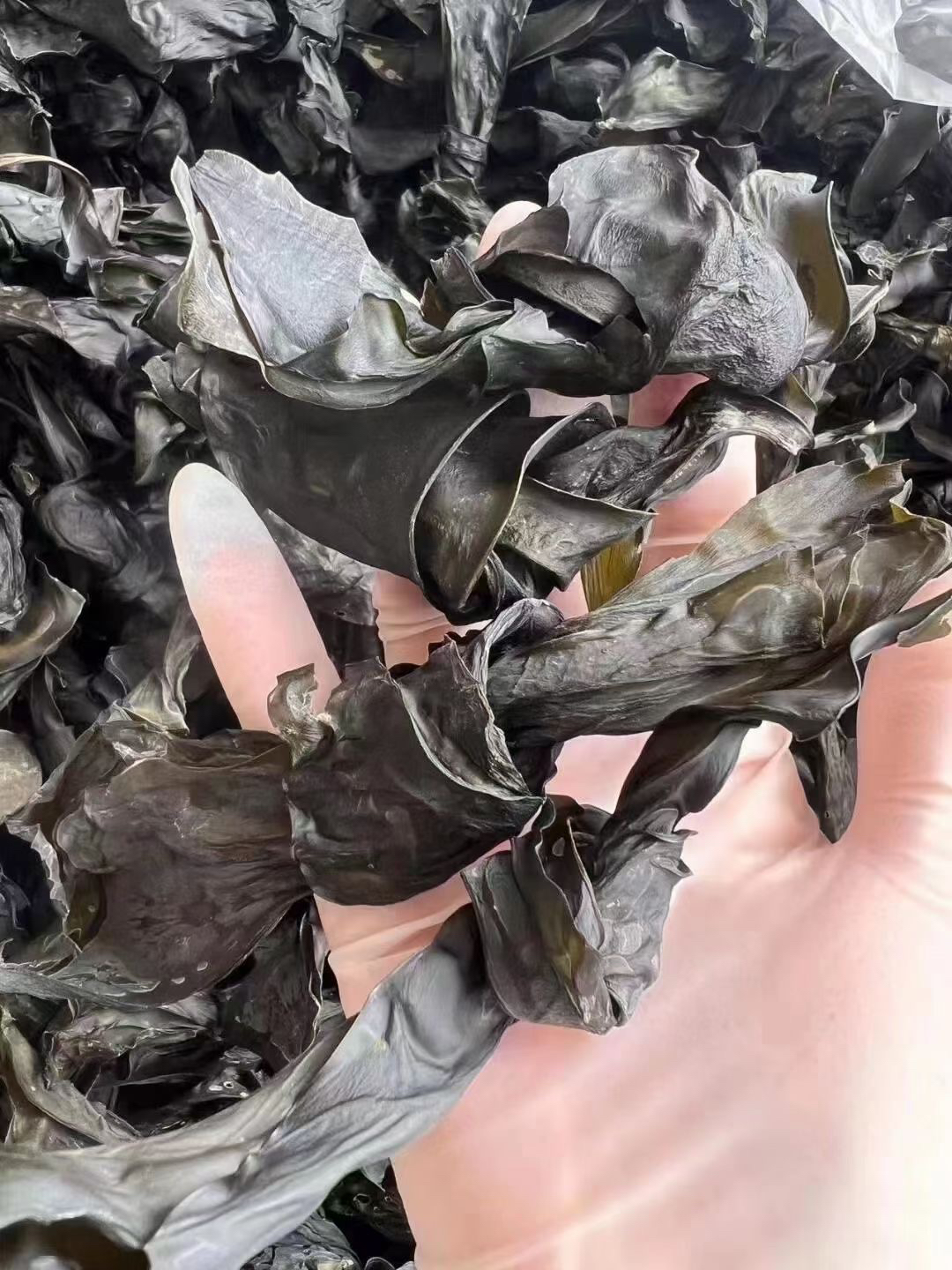 汕尾干货海带结绿豆甜品