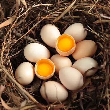 （黄土米妹苗苗）土鸡蛋（顺丰包邮）