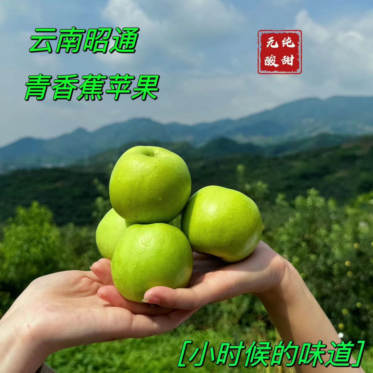 2025云南昭通早熟青苹果青香蕉产地新鲜采摘脆甜纯甜孕妇水果5斤