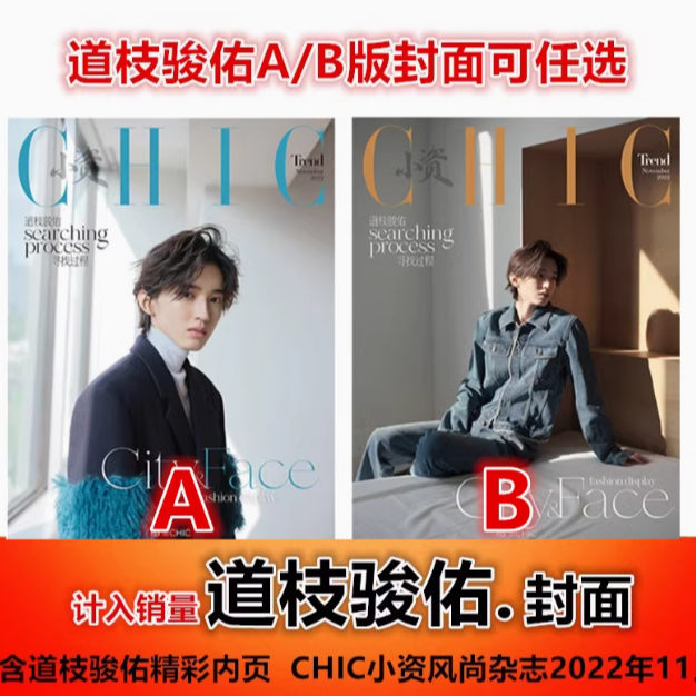 【道枝骏佑A/B版封面可任选】 CHIC小资风尚杂志2022年11月