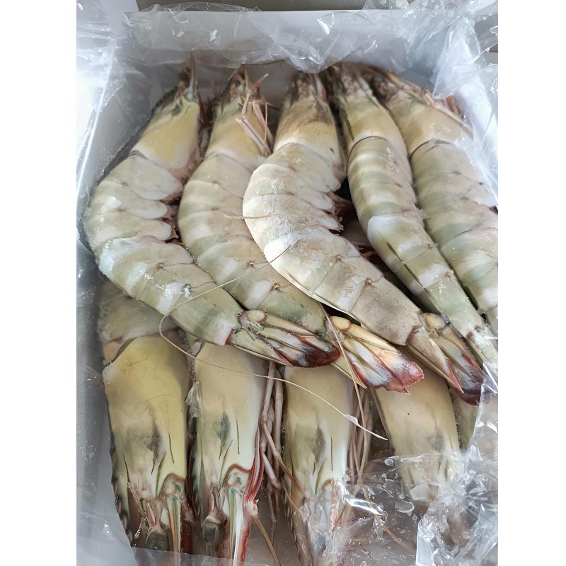 新鲜海捕红虎虾10只装 高端精品肉质Q弹净重2斤冷链连云港发货