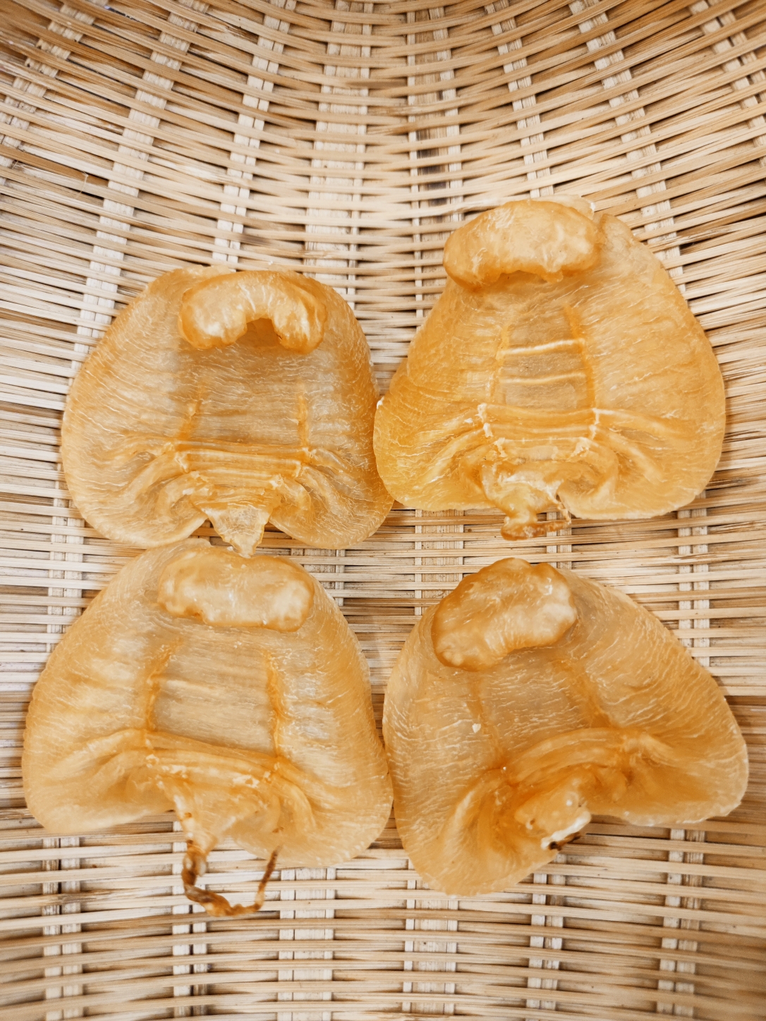 广东汕头南货湛江赤嘴公鱼胶13头250g