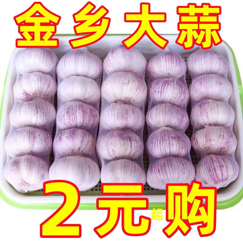 正宗山东金乡大蒜头干蒜紫皮新鲜多瓣独头大蒜头整箱农家包邮