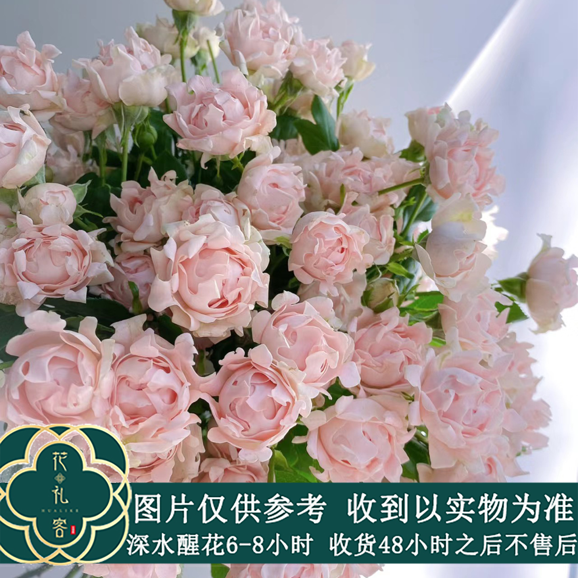 七叶花坊#多头玫瑰 【苏芬玫瑰】鲜花优选 顺丰直发