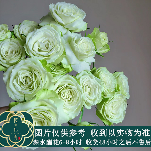 七叶花坊# 【多头薄荷茶】稀有小众玫瑰 鲜花优选 顺丰直发玫瑰花