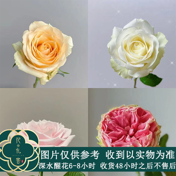 七叶花坊# 【七叶宠粉-草花惊喜小盒】高品质鲜花优选 玫瑰花
