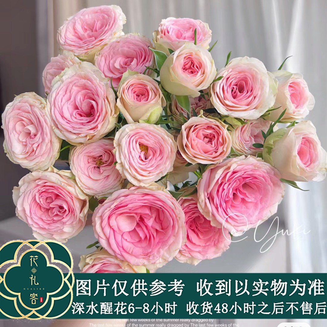 七叶花坊#【宝贝凯蒂】多头玫瑰 鲜花优选 顺丰直发A级鲜切花修剪