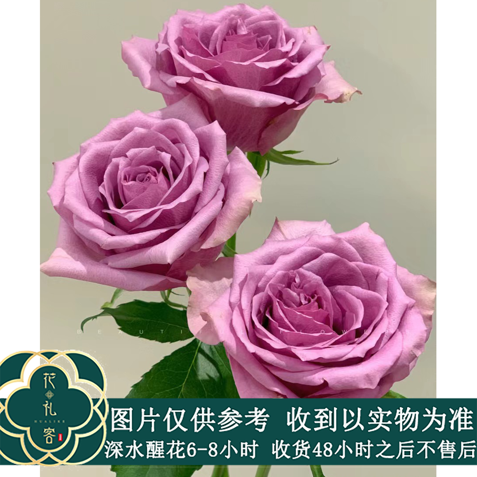 七叶花坊#单头玫瑰 【紫霞仙子】鲜花优选 顺丰直发