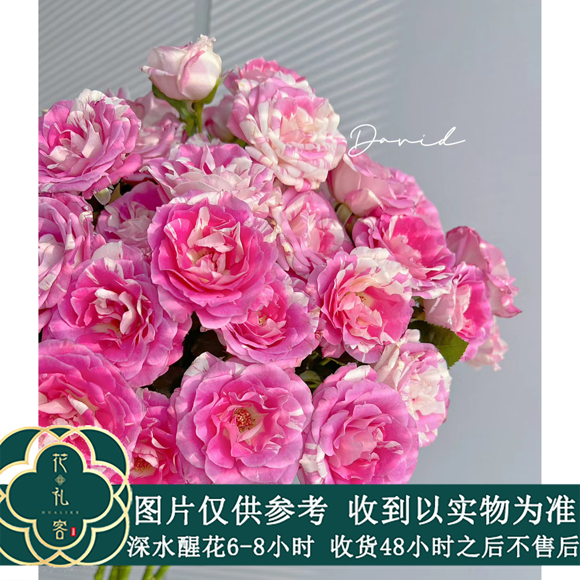 七叶花坊#【蓬蓬裙礼花】稀有小众多头玫瑰 顺丰直发 玫瑰花