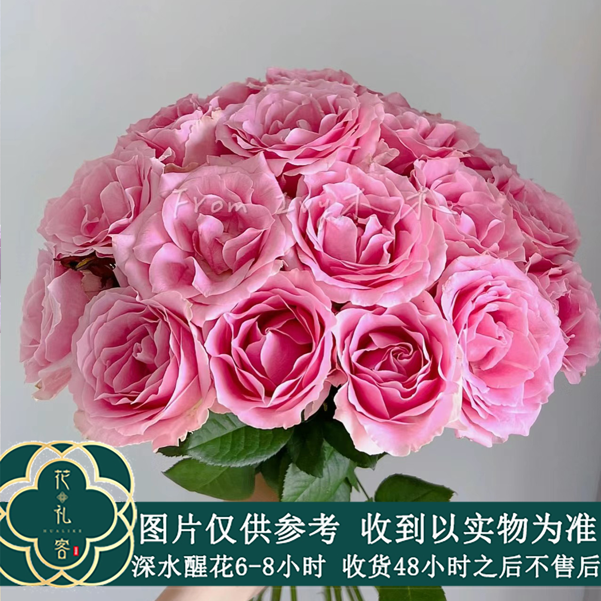【娇兰】A级方德-嘉荷系单头玫瑰 鲜花优选 顺丰直发