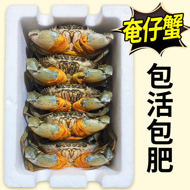 正宗三门青蟹 小娘蟹处子蟹奄仔公母蟹鲜活水产海鲜螃蟹礼盒顺丰