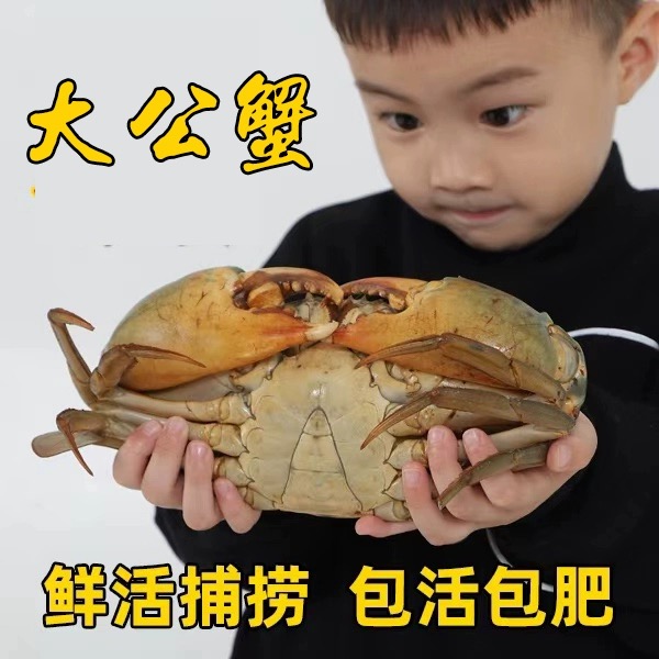 正宗三门青蟹 鲜活特大公蟹肉蟹 海鲜水产大螃蟹中秋礼盒装顺丰