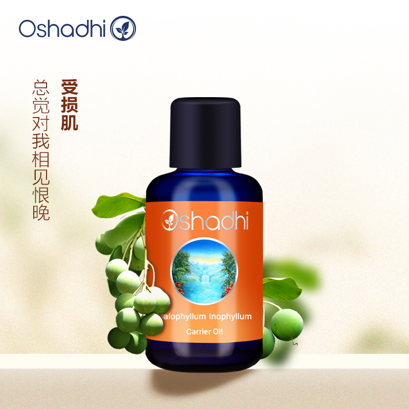 Oshadhi德国O家 琼崖海棠油 舒缓 