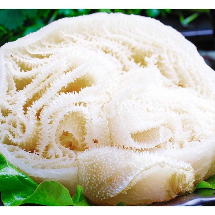 （净重3斤）白底整块带底板毛肚整块新鲜脆爽牛百叶 固形物含量95%