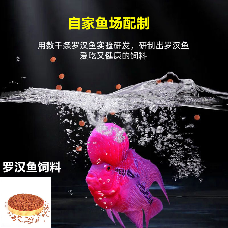 罗汉鱼饲料起头增色专用攻头鱼场鱼粮高营养蛋白小颗粒罗汉鱼鱼食