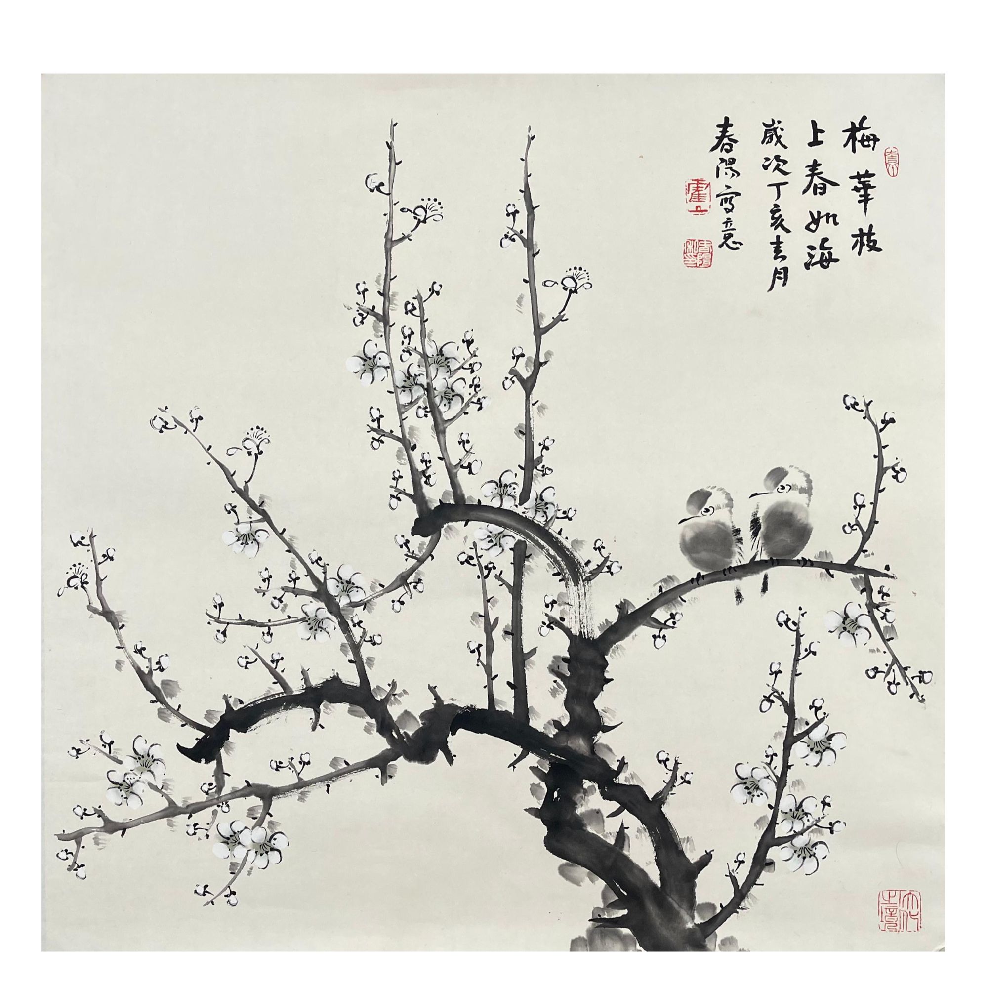 HCY-2-411  梅花 尺寸70*70cm 纸本托底