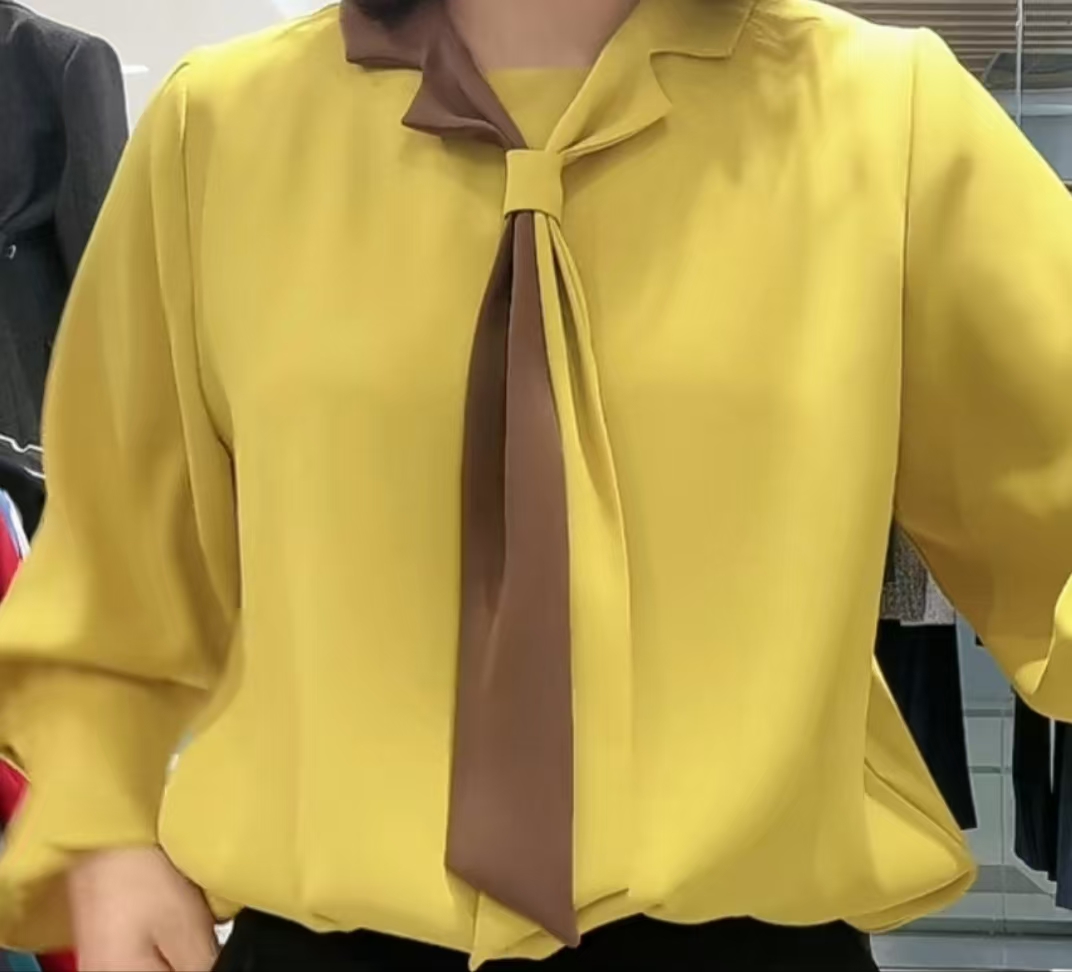 韩国正品大码显廋显气质高品衬衣