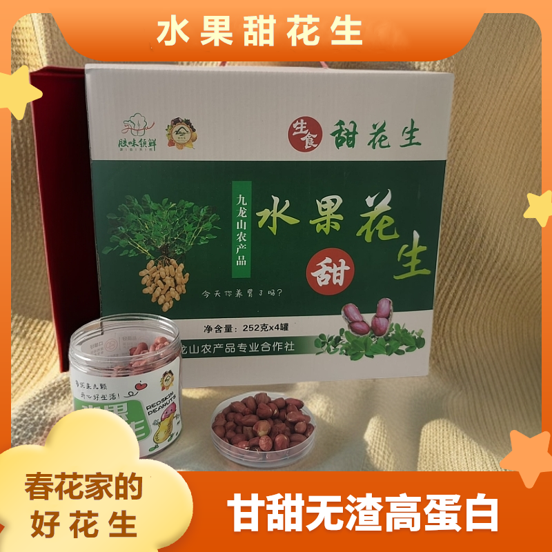 【礼盒装】水果花生青岛九龙山农场生态种植生食清脆可口甘甜无渣