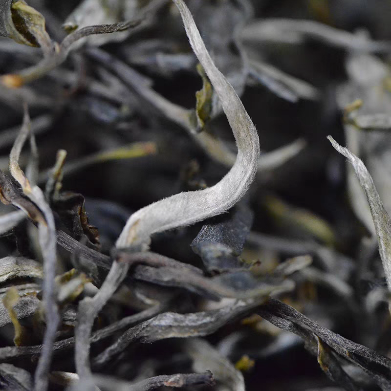 2024年春，回甘好（古树混采生普散茶）