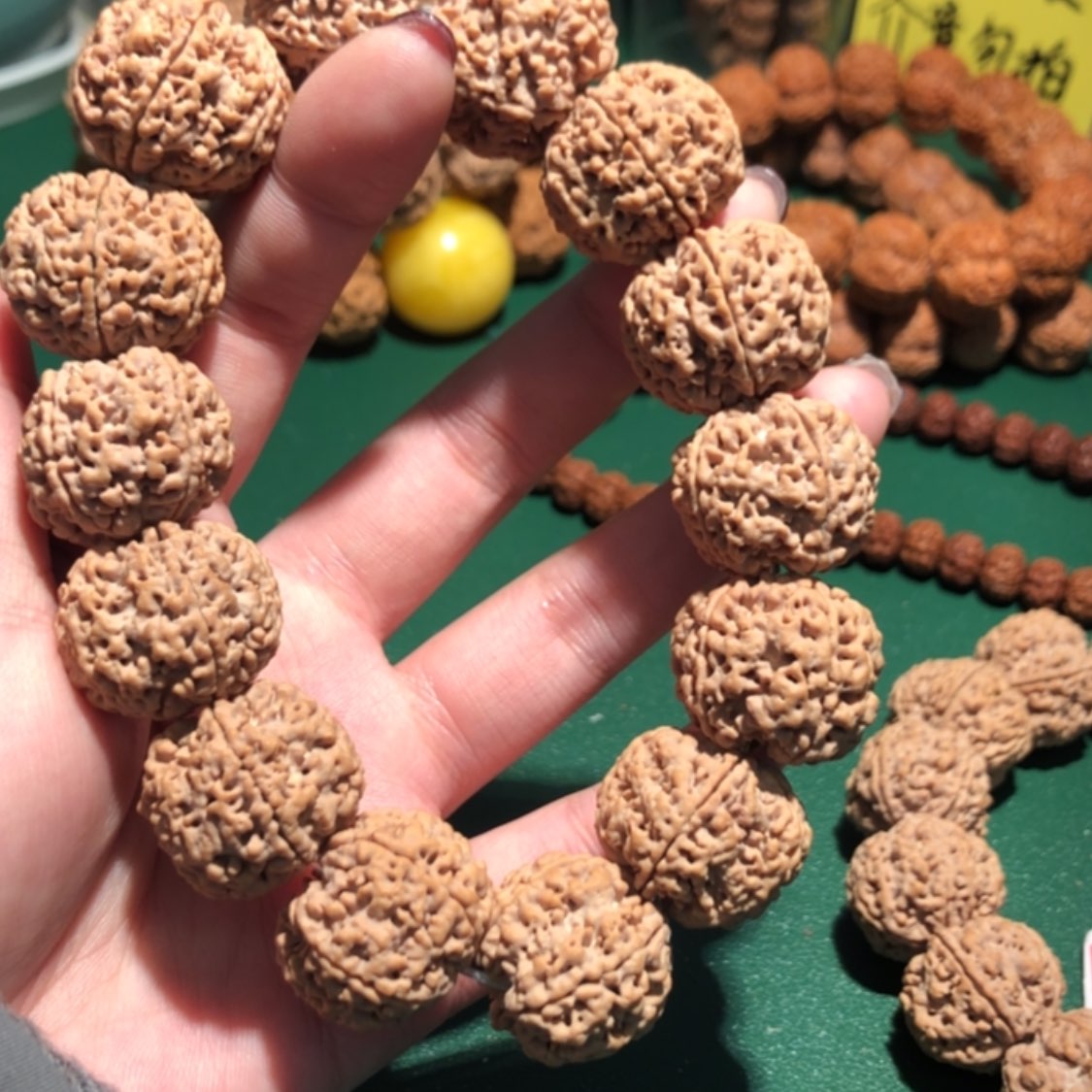 【闪购商品】金刚菩提吊坠金**芦霸王龙23。新