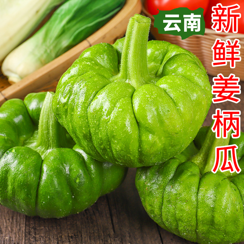 云南姜柄瓜小瓜姜饼瓜新鲜蔬菜嫩南瓜甜瓜小绿瓜3/5斤包邮