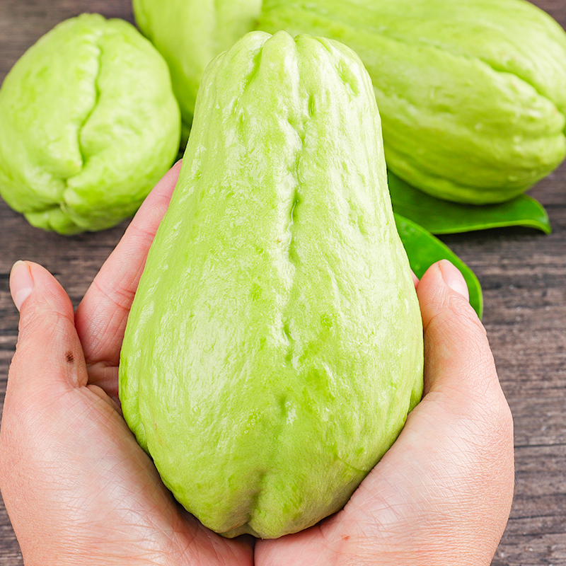 云南佛手瓜新鲜现摘凉拌当季时令高原蔬菜洋瓜脆嫩