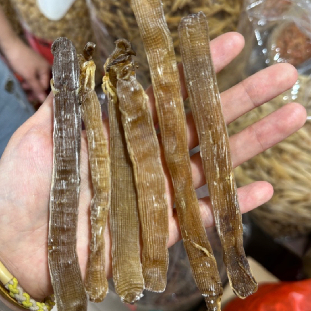 【土妞】大灰沙虫深海沙虫干肉厚净沙煲汤煲粥盐炒250头左右/斤