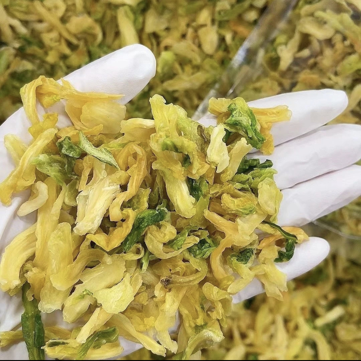 【土妞】北海海白菜高钙菜养心菜甜心菜脱水菜干煲汤煮面