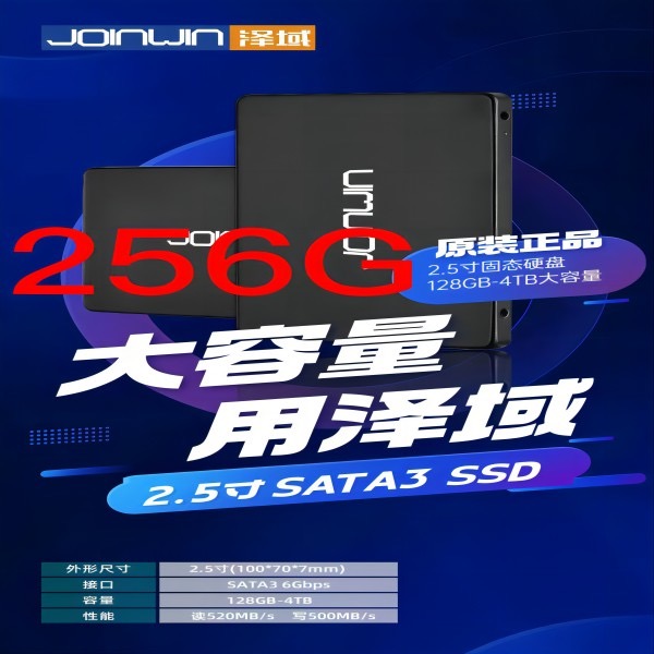全新泽域2.5寸 256GSATA接口 空固态硬盘 台式机笔记本通用无配线