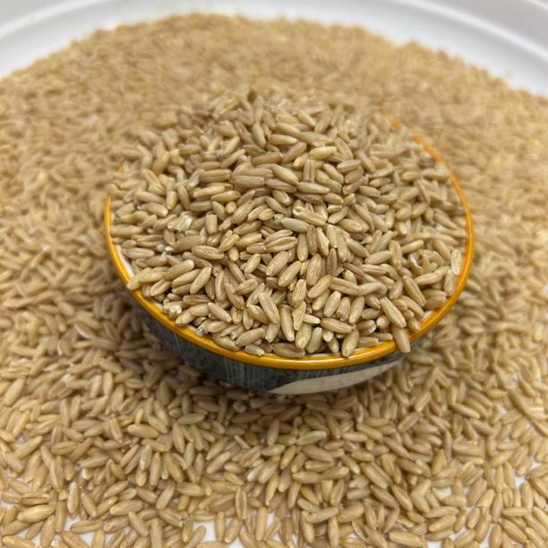 新燕麦。鹦鹉。玄凤。牧丹粮良