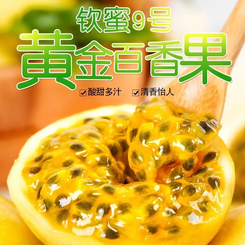 钦蜜9号黄金百香果应季水果坏果包赔皱皮正常不售后