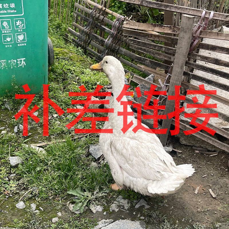 【补差链接】农特产100g