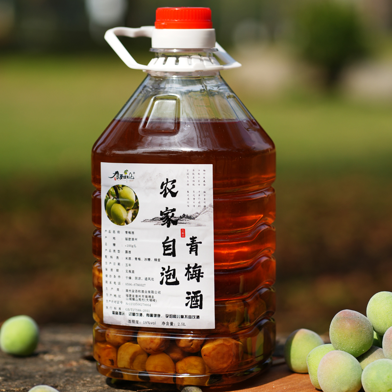 青梅酒18度农家手工自酿纯粮食浸泡低度酸梅酒微醺果酒陈酿青梅酒