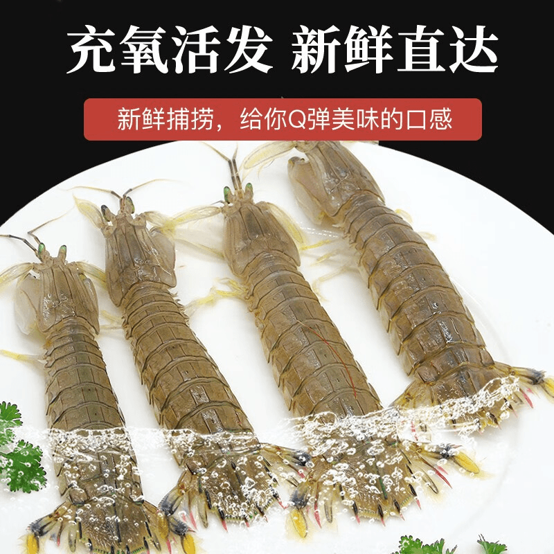 【鲜活皮皮虾～方欣大美海鲜】鲜活皮皮虾 虾爬子个大味美，500g