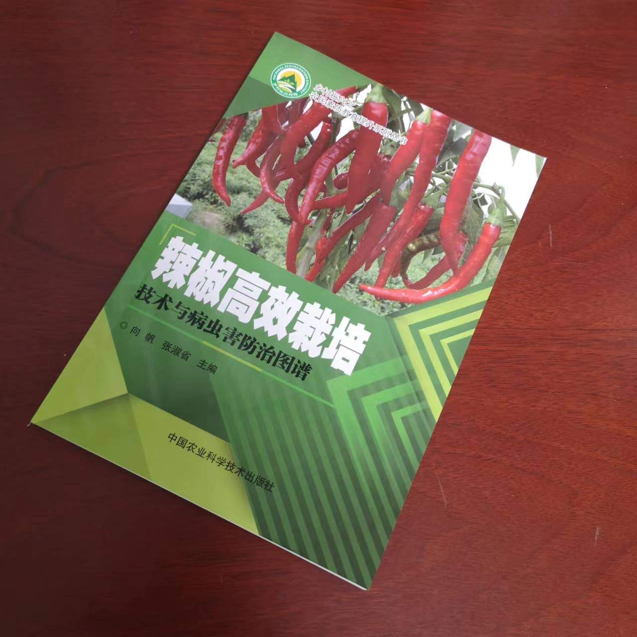 正版包邮辣椒高效种植栽培技术与病虫害防治图谱向帆，张淑省