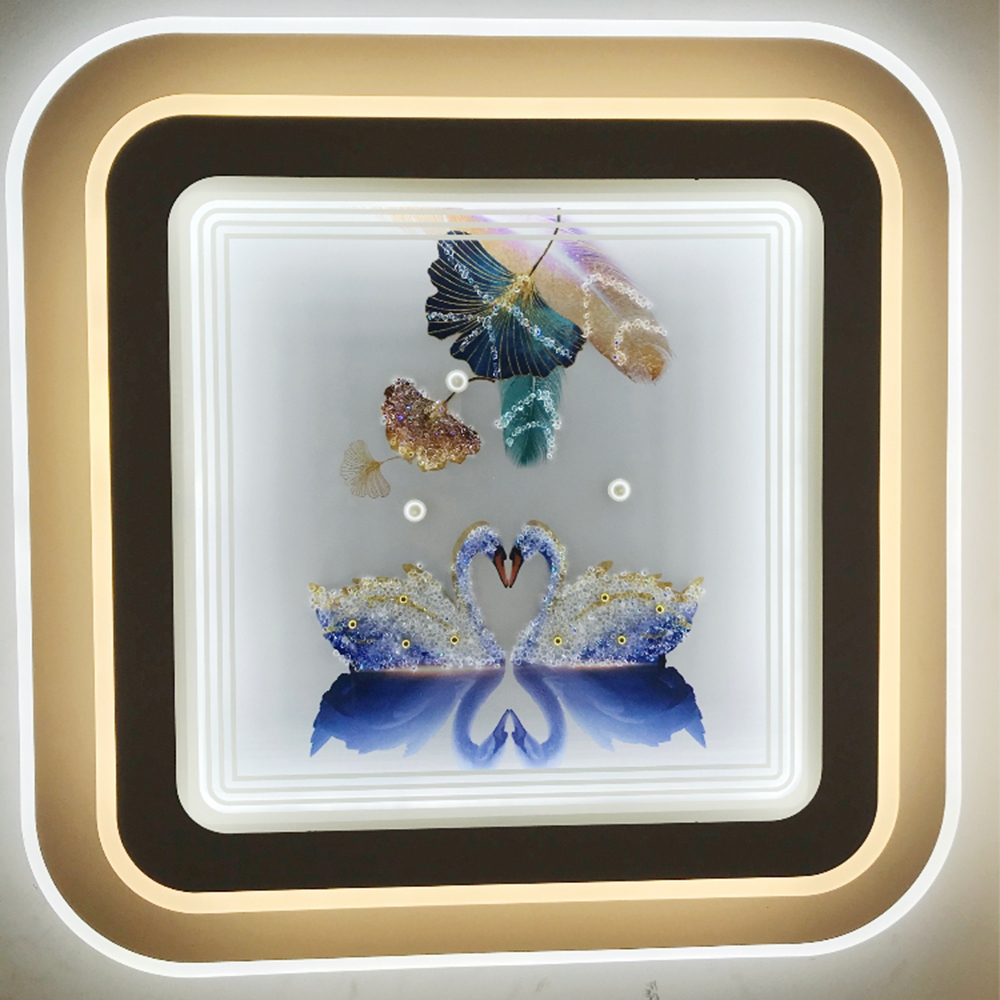 50厘米直径客厅别墅走廊卧室灯吸顶灯家用亚克力遥控三色无极调光