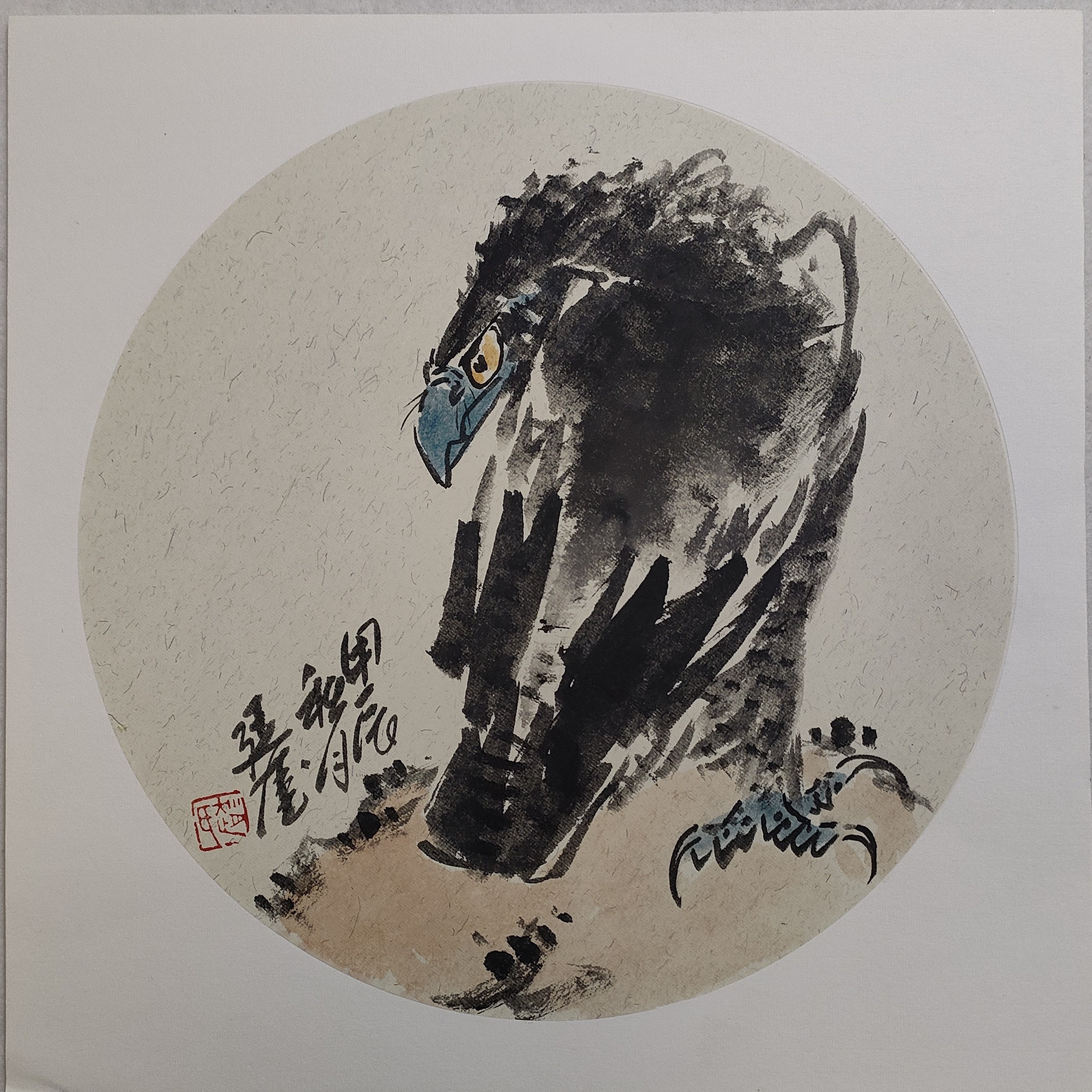 画家赵廷奎作品（鹰）38*38