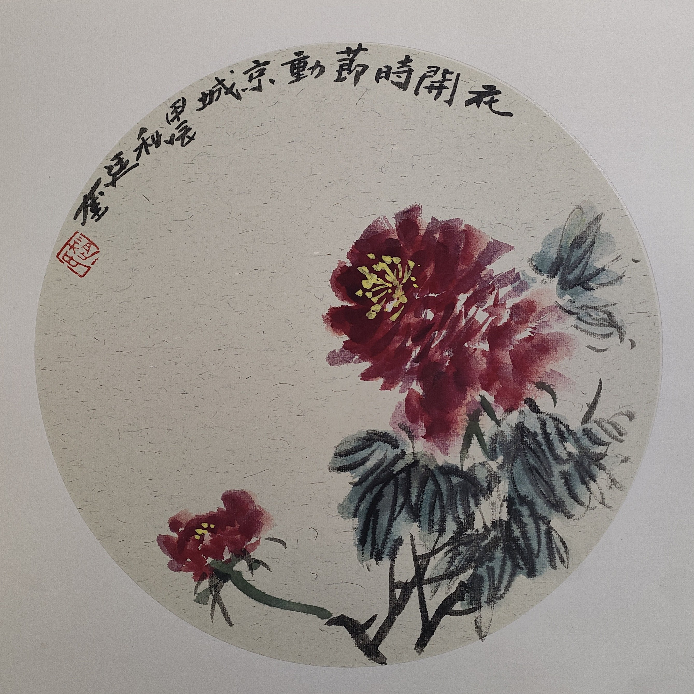 画家赵廷奎作品（牡丹）38*38