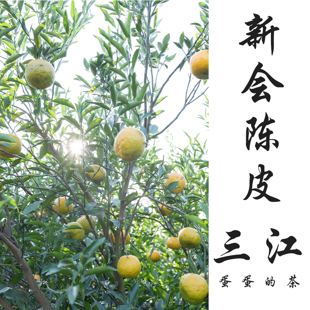 2024年新会陈皮|三江产区|青皮  二红 大红 |驳枝柑|蛋蛋的茶