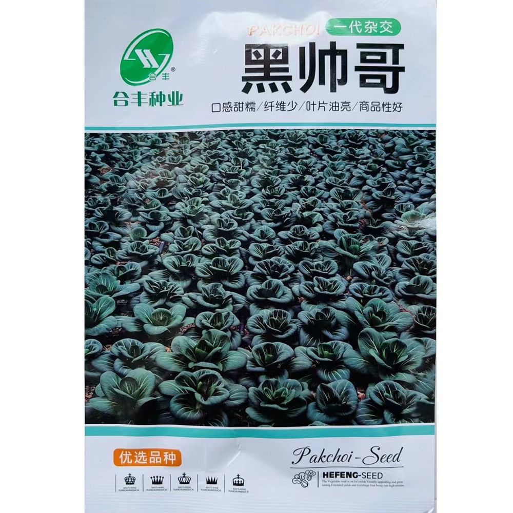 黑帅哥一代杂交青菜种子早熟抗病高产青梗菜油菜小青菜种籽秋播种