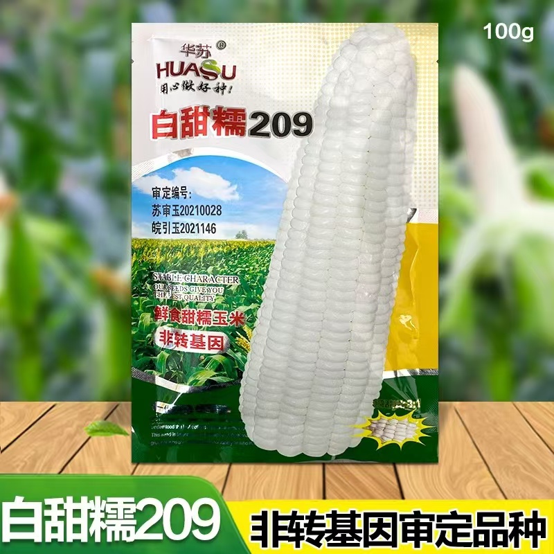 白甜糯玉米种子高产四季播白糯玉米非转国审农家超甜加糯玉米种子