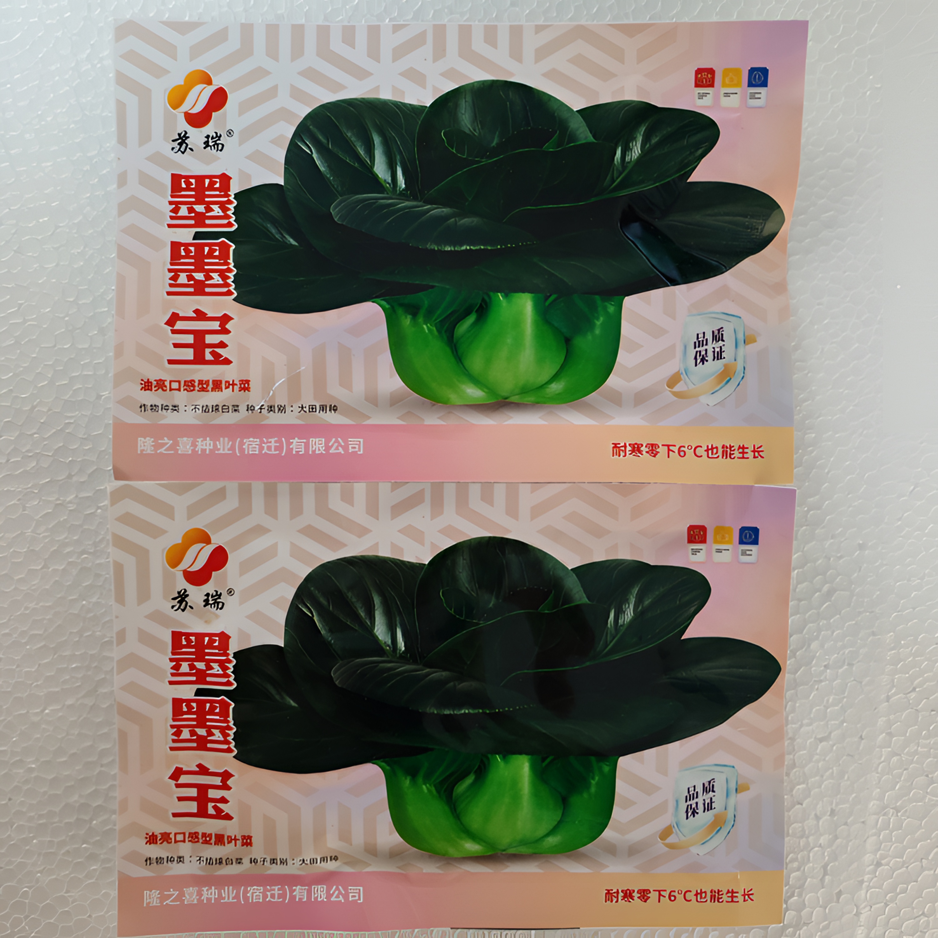 苏瑞墨墨宝青菜种子耐寒矮脚苏州青油亮黑叶青梗菜种籽秋播蔬菜种