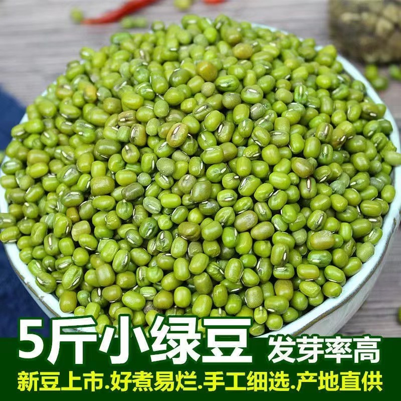 东北小绿豆5斤 新鲜农家新货绿豆小颗粒优质绿豆糕夏日尝鲜