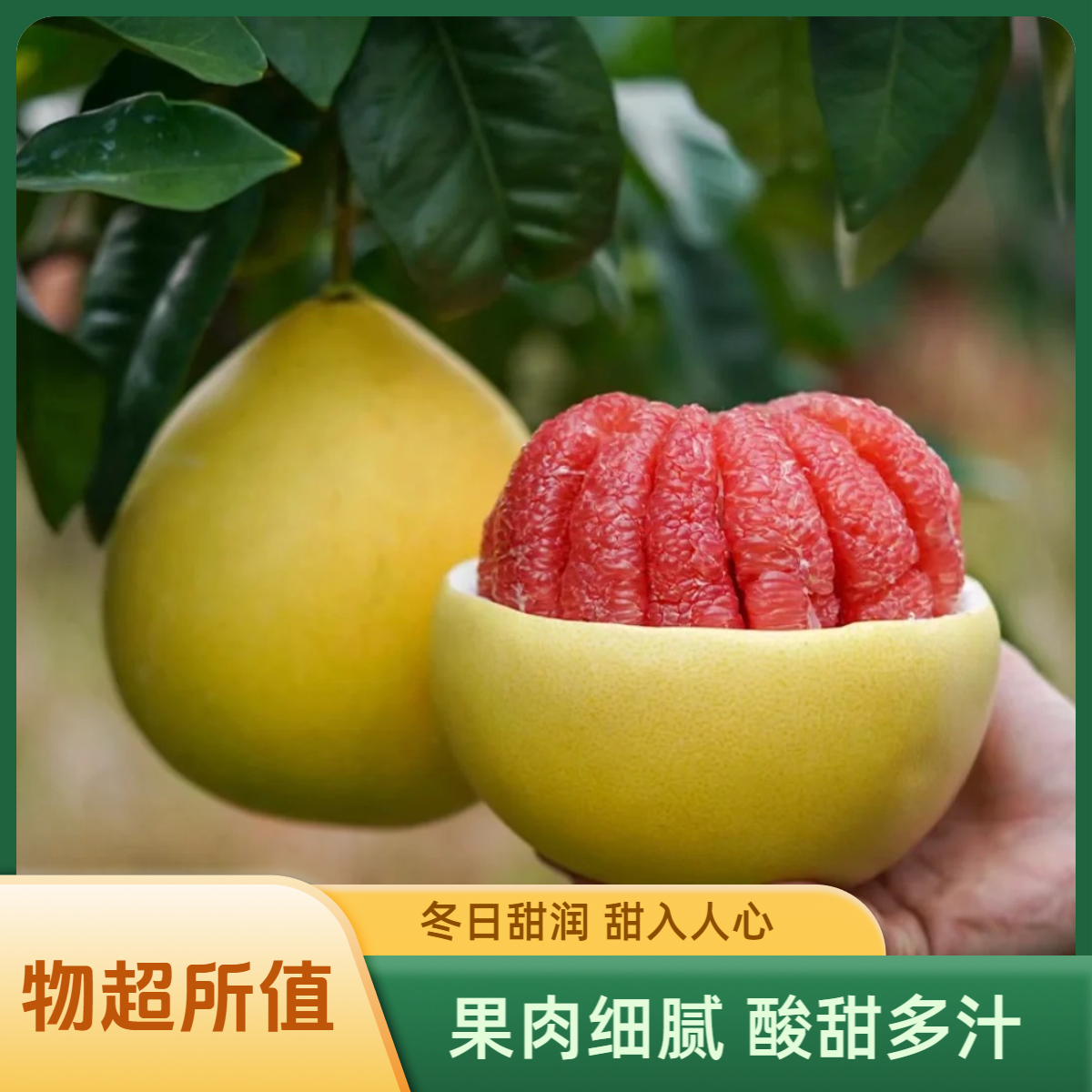【老树红心蜜柚】精选果 皮薄肉厚 酸甜多汁 孕妈水果4-9斤新鲜包邮