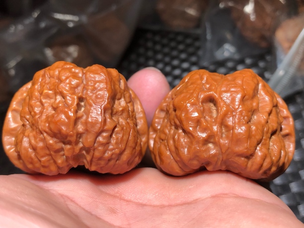 文玩核桃狮子头大哥级标杆蛤蟆头边42肚43高32纯手盘