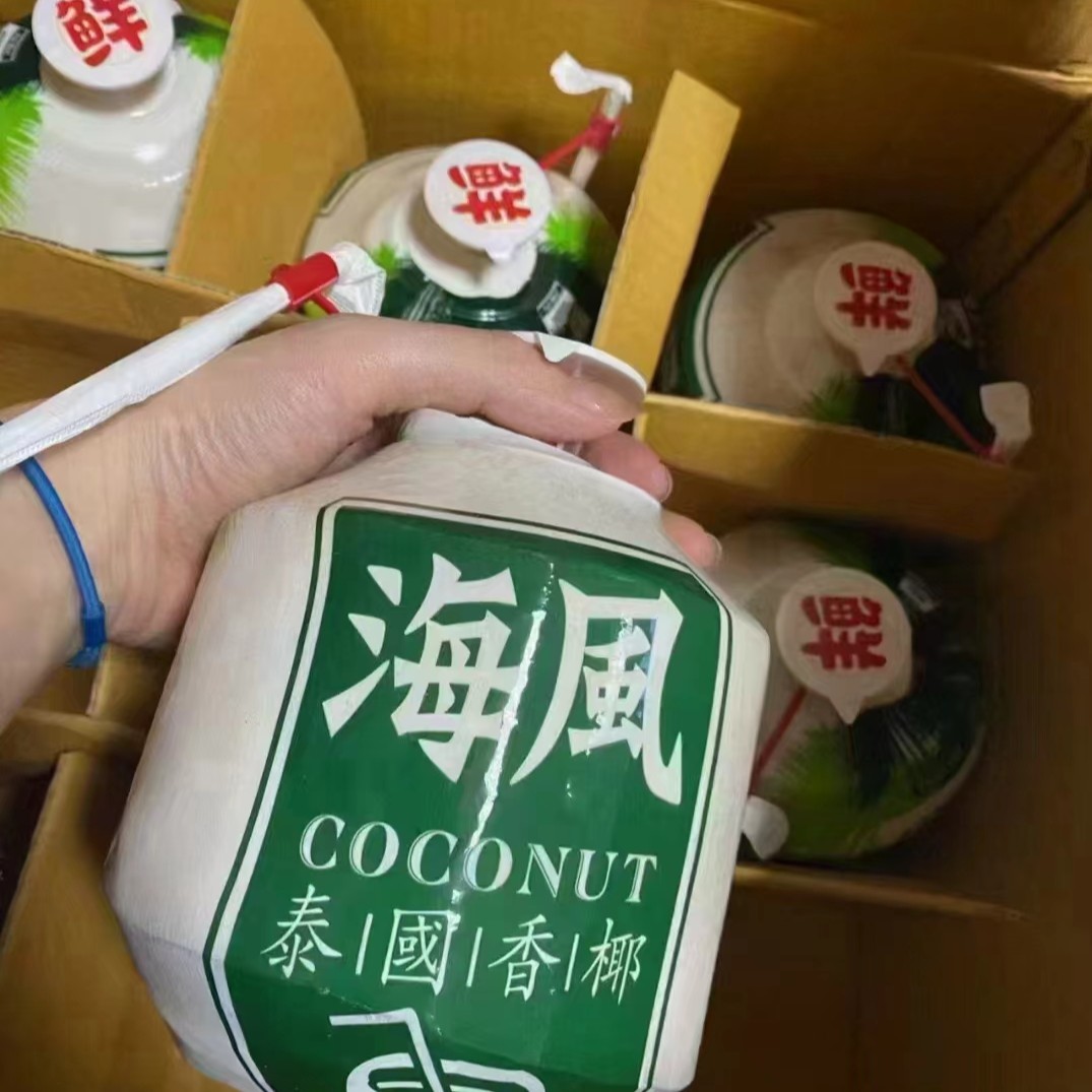 海风易开椰青一个