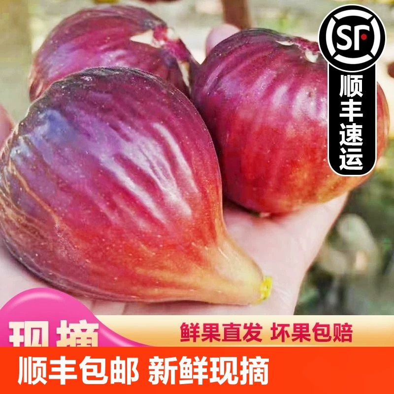 【顺丰包邮】坏果包赔新鲜无花果现摘现发应季水果红皮树熟现货源头