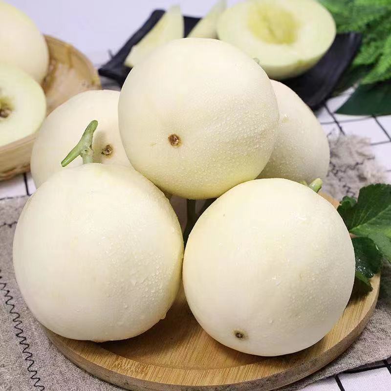 滨海守根家庭农场【小香瓜】超甜农家现摘现发甜瓜