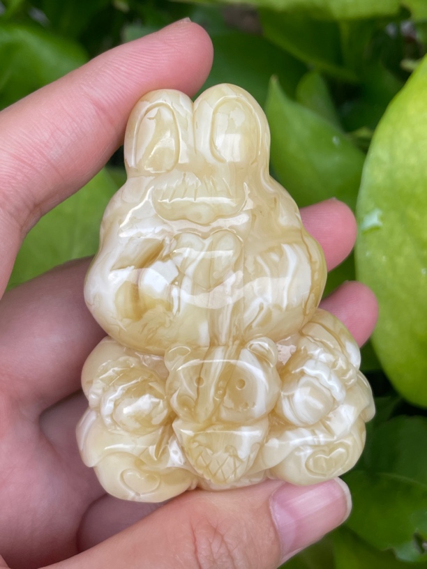 白花腊软萌小兔子来啦